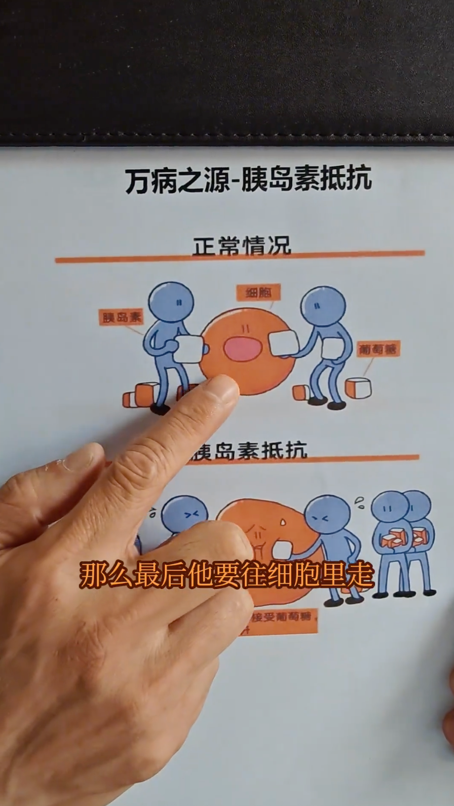 图解代谢